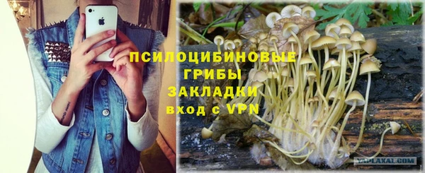 jwh Абаза