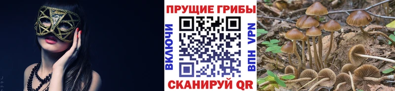Галлюциногенные грибы GOLDEN TEACHER Невельск